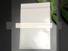 100% Recyclable Self-Sealed Glassine Paper Bag Custom Logo Bio-Degradable  Paper Bags